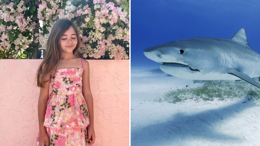 Menina de 9 anos é atacada por tubarão, luta e sai viva