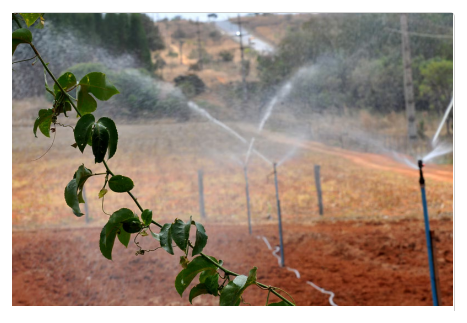 PF apreendeu em seis anos 273 mil quilos de agrotóxicos irregulares no Brasil
