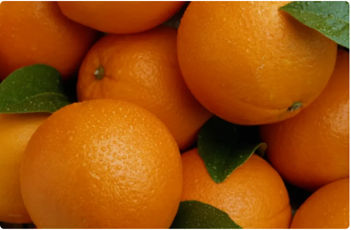Saiba os benefcios da laranja no inverno; preo caiu 12%